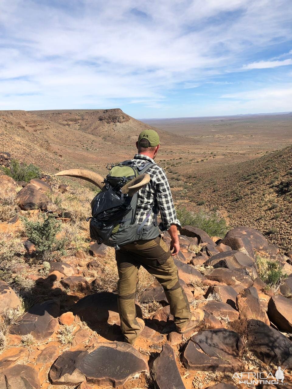 Hunt Barbary Sheep in South Africa