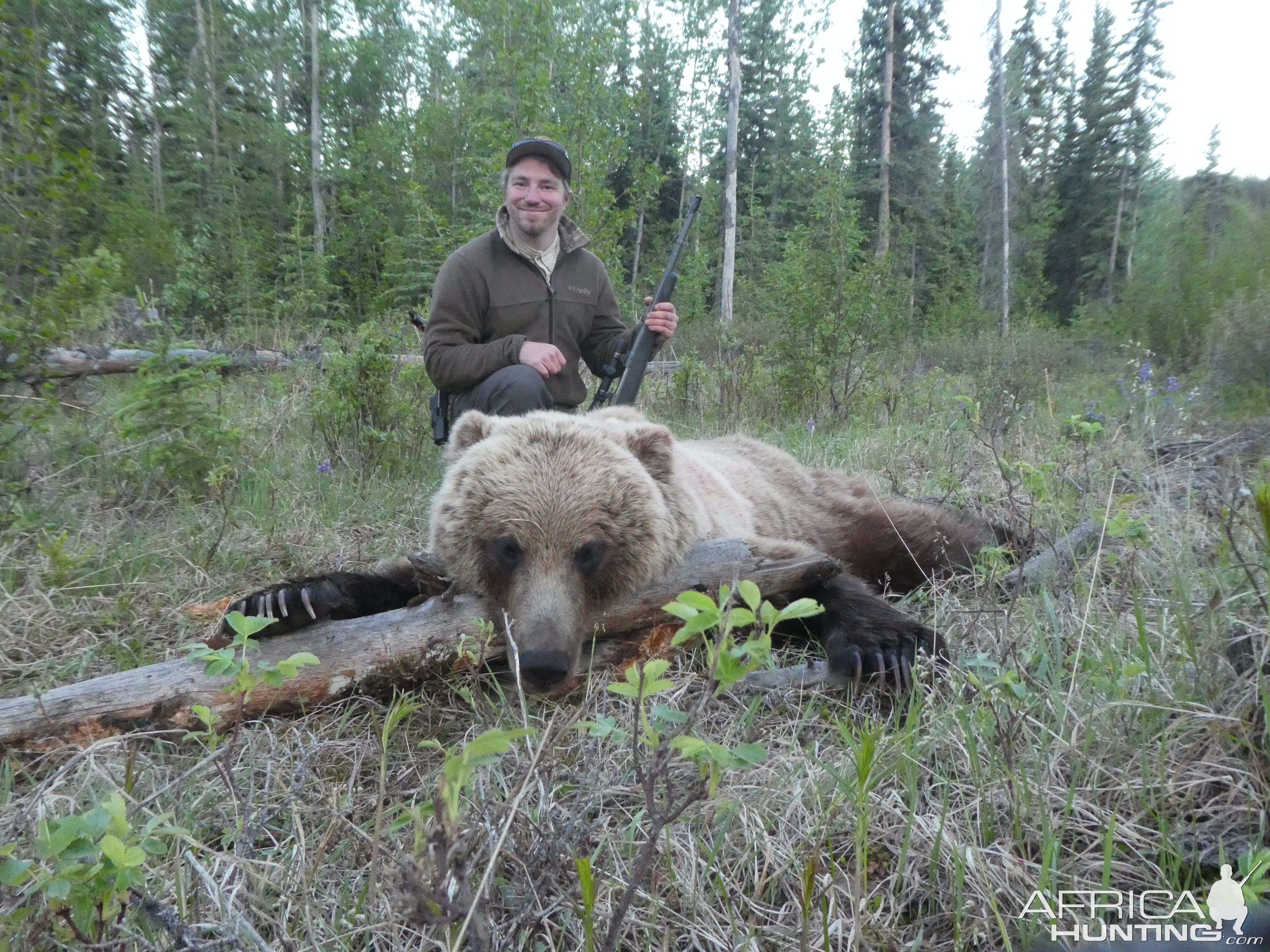 Hunt Bear in Alaska USA