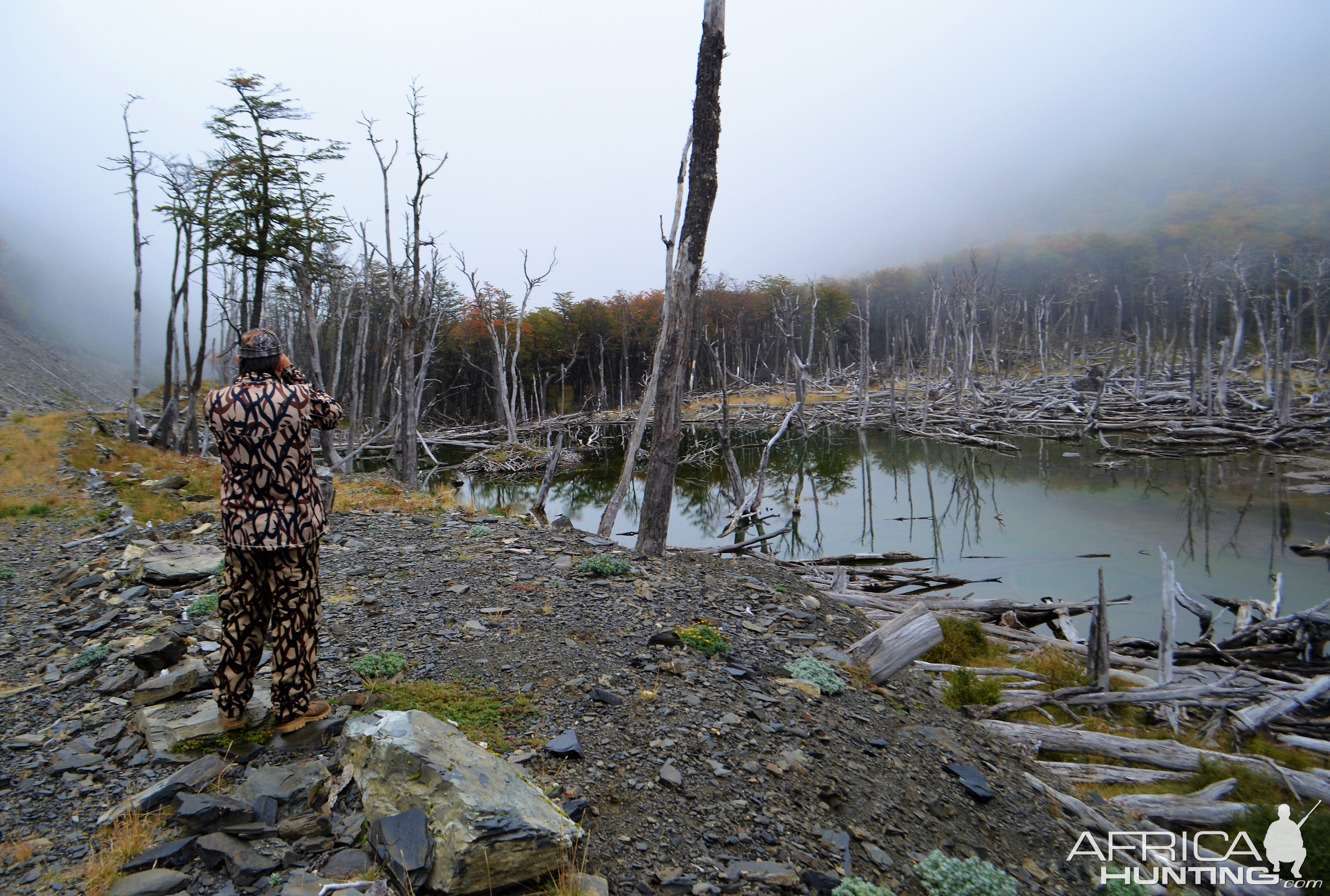 Hunt Beaver in Chile South America