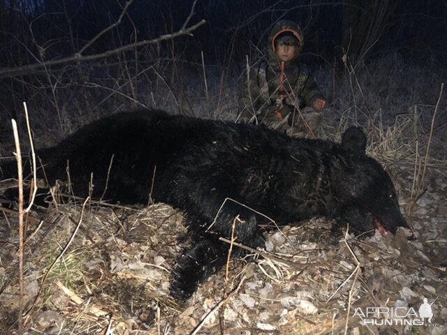 Hunt Black Bear in USA