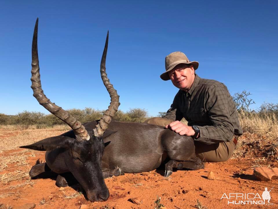 Hunt Black Impala in South Africa