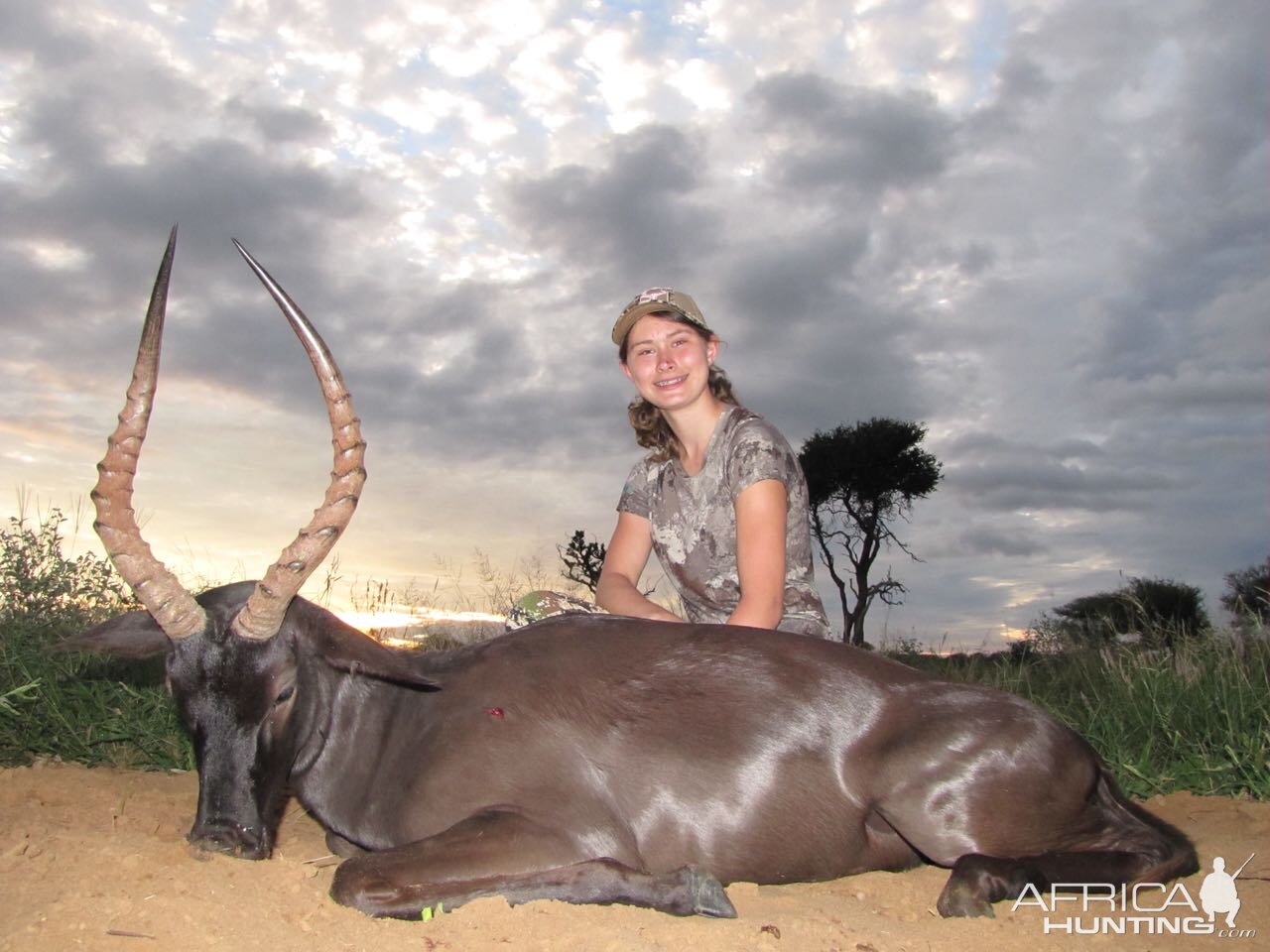 Hunt Black Impala in South Africa