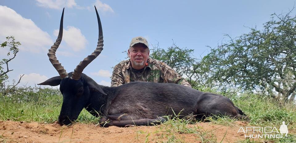 Hunt Black Impala in South Africa