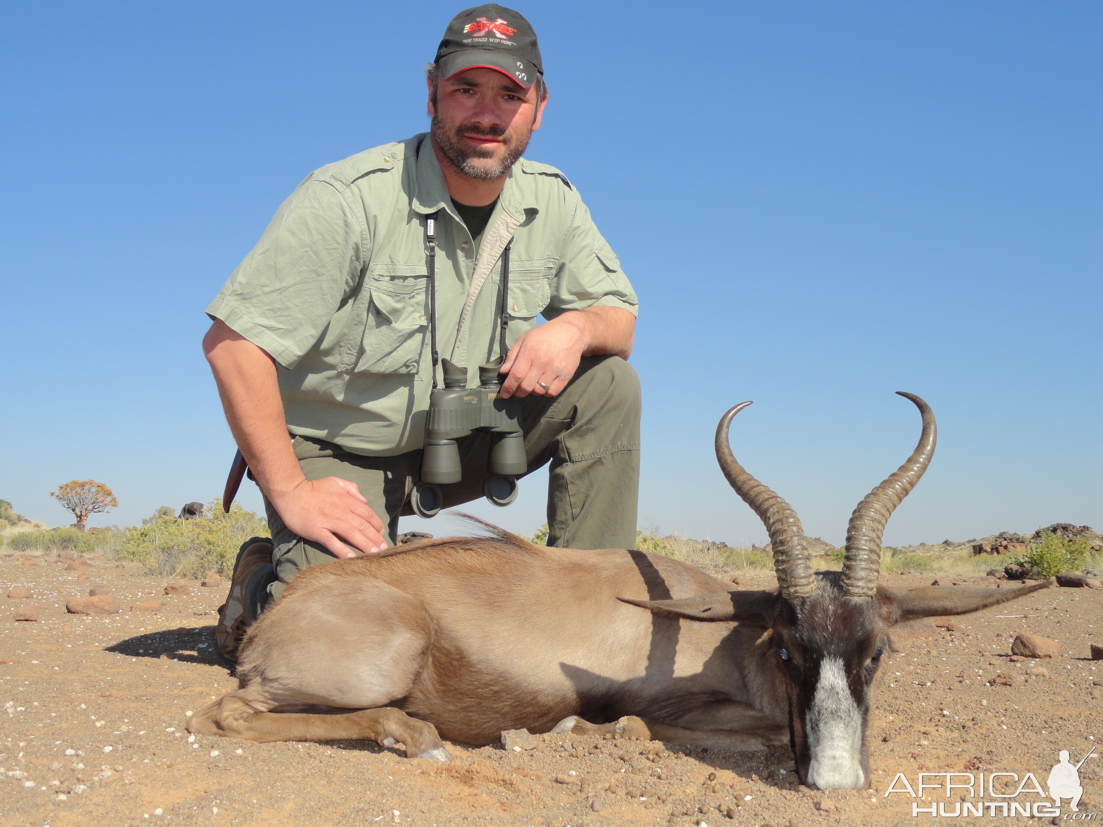 Hunt Black Springbok in Namibia