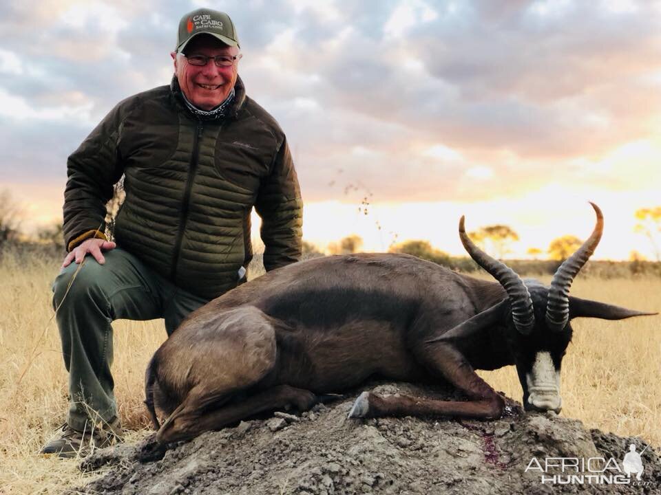 Hunt Black Springbok in South Africa