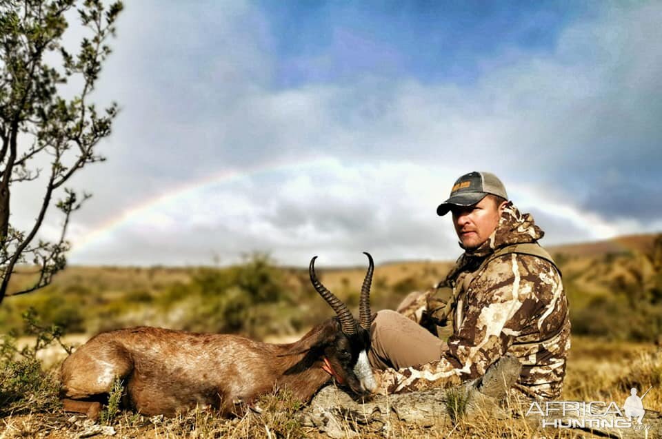 Hunt Black Springbok in South Africa