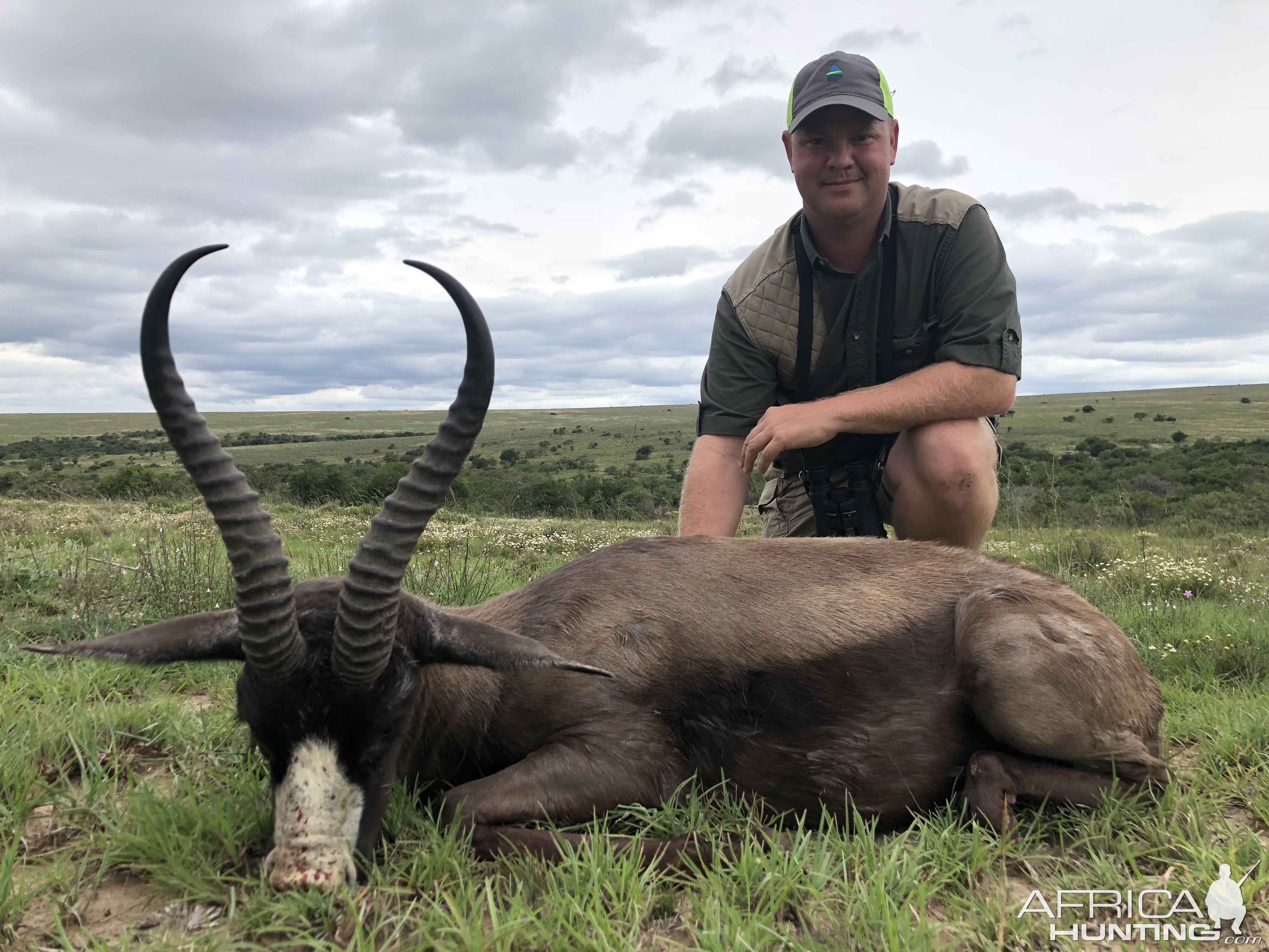 Hunt Black Springbok South Africa