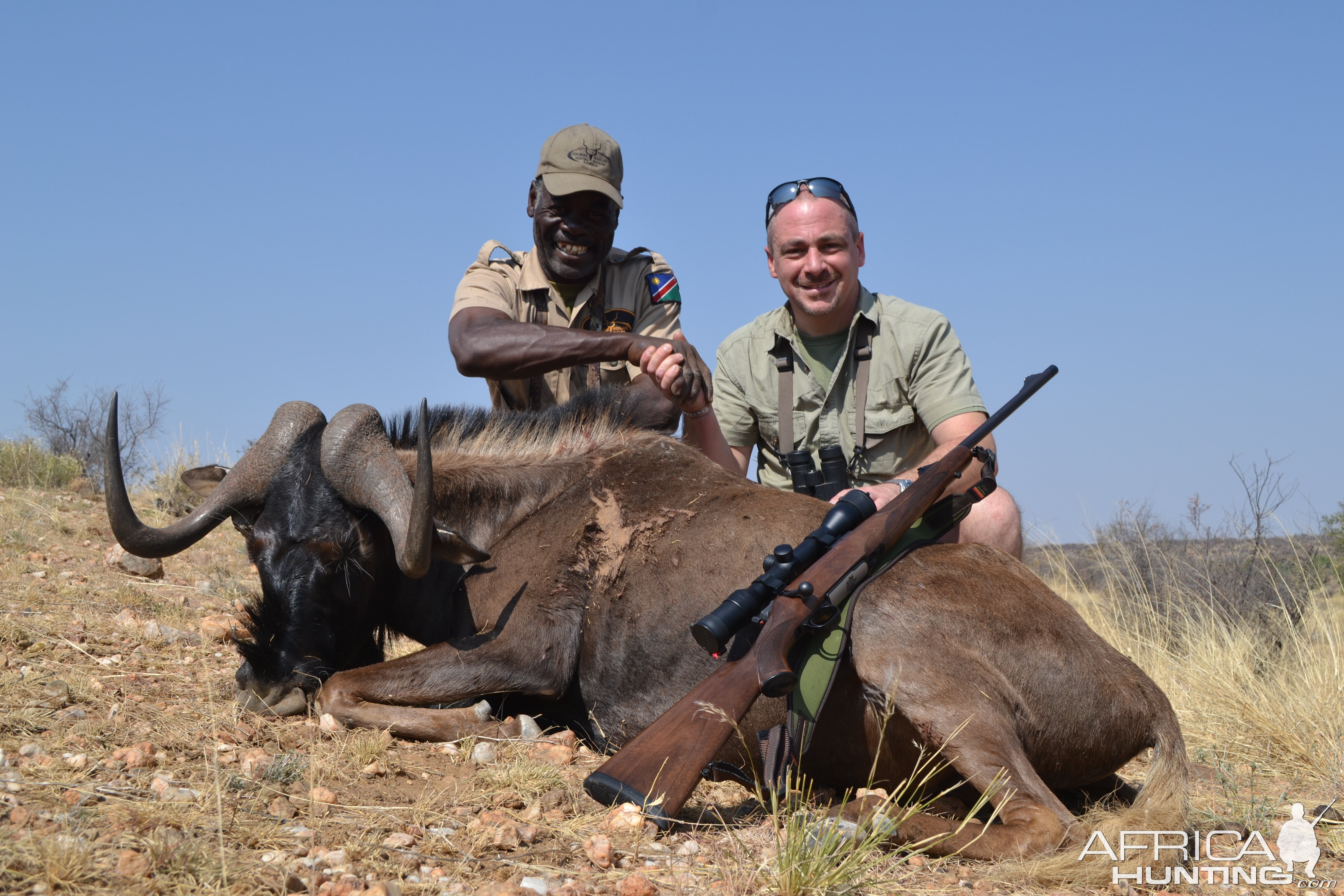 Hunt Black Wildebeest in Namibia