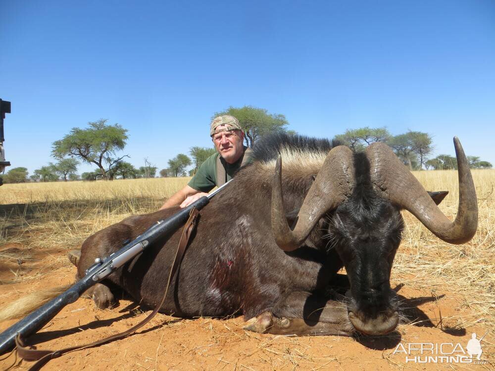 Hunt Black Wildebeest in Namibia