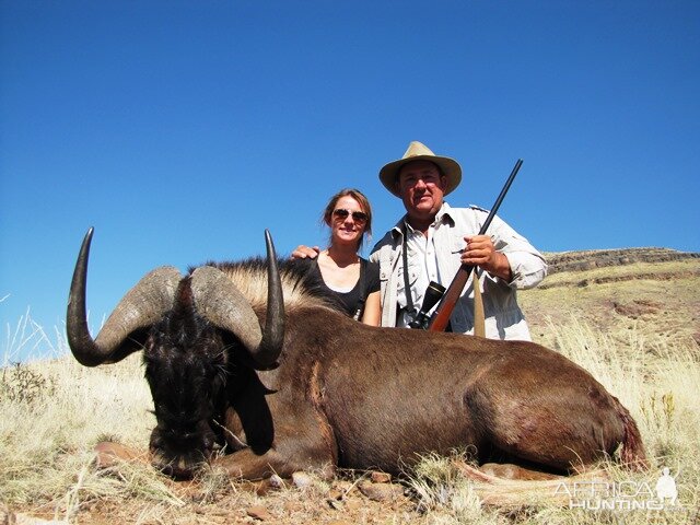 Hunt Black Wildebeest in Namibia