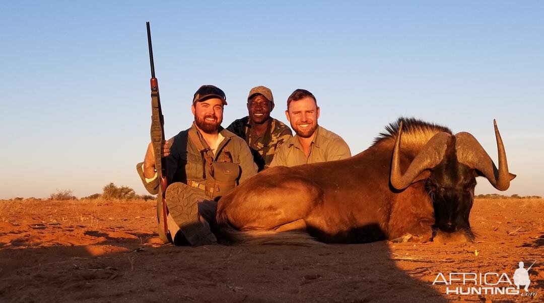 Hunt Black Wildebeest in Namibia