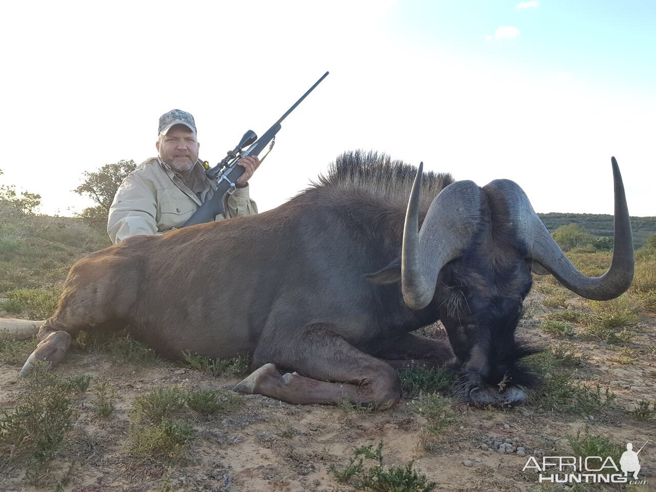 Hunt Black Wildebeest in South Africa