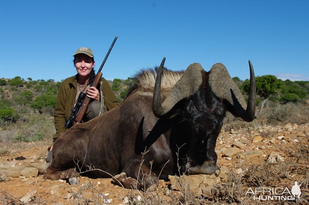 Hunt Black Wildebeest in South Africa