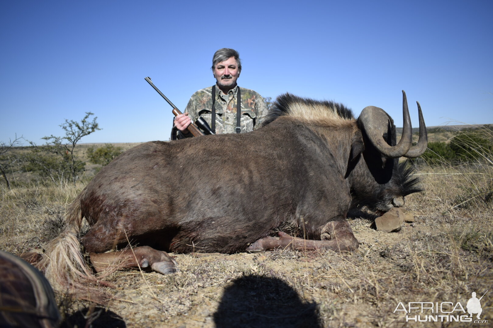 Hunt Black Wildebeest in South Africa