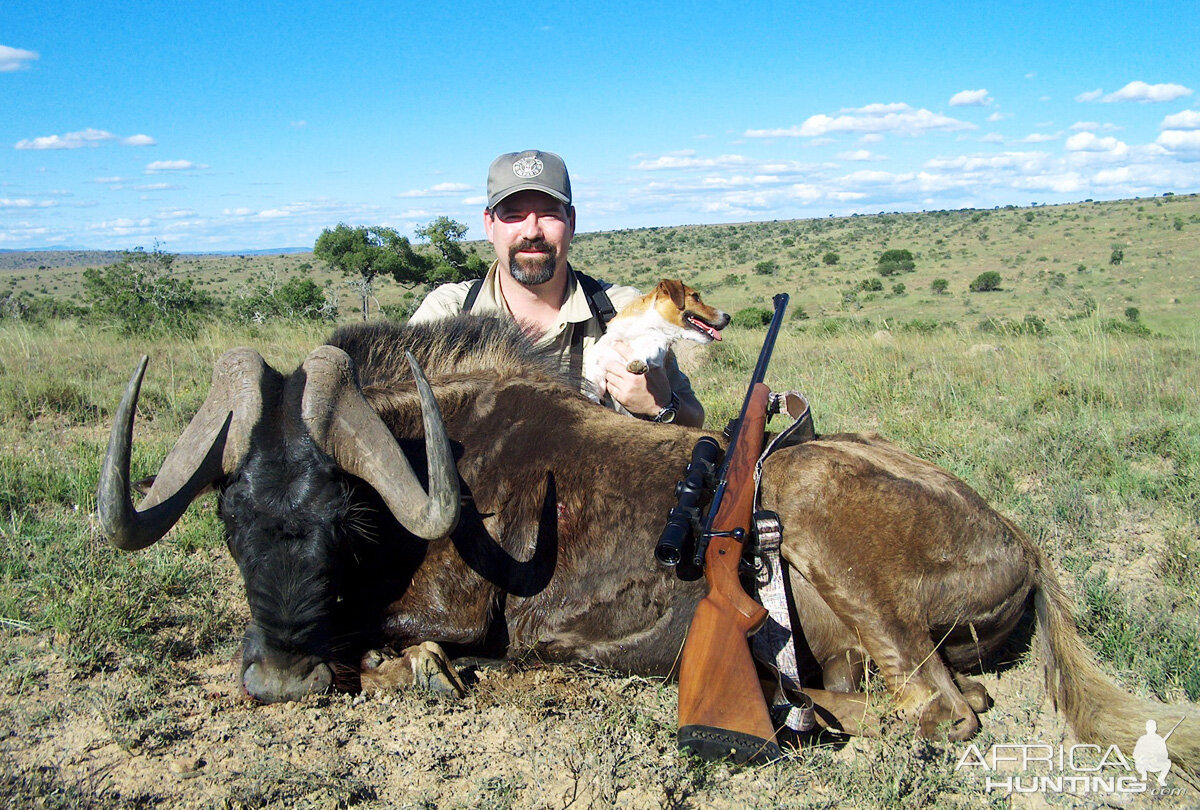 Hunt Black Wildebeest in South Africa