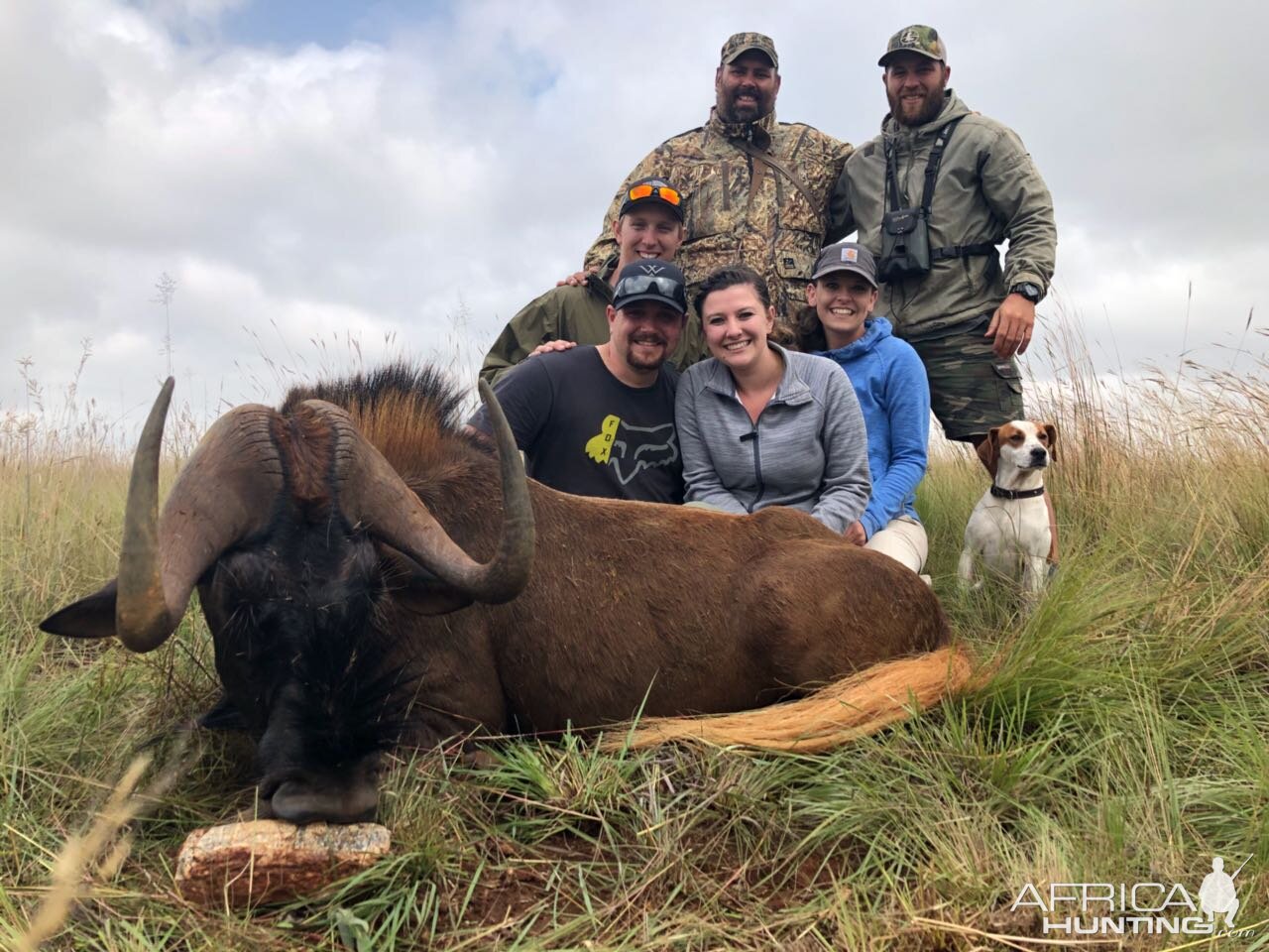 Hunt Black Wildebeest in South Africa