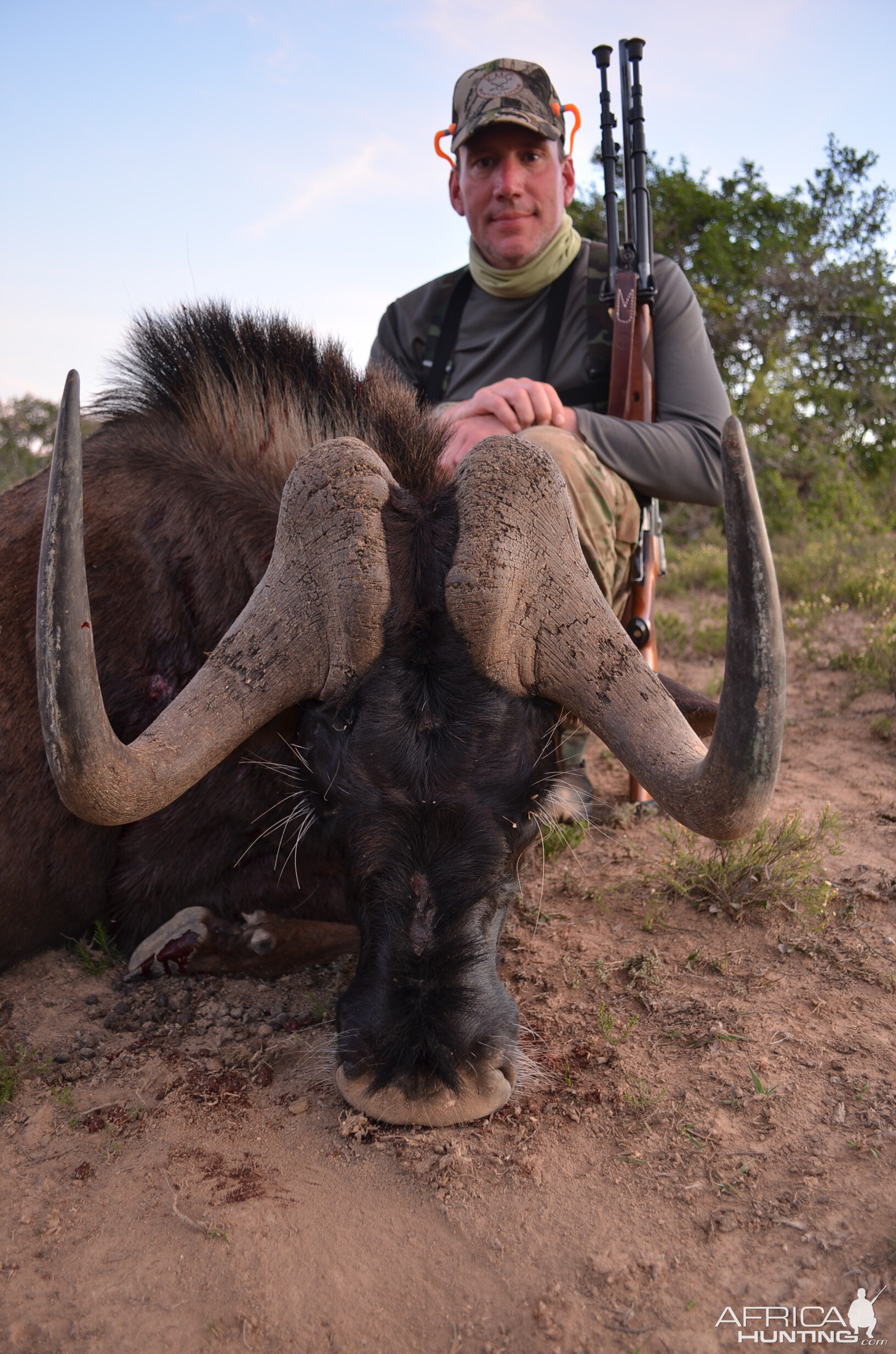 Hunt Black Wildebeest in South Africa