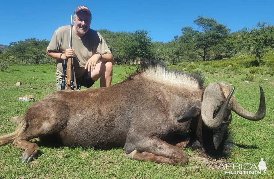 Hunt Black Wildebeest in South Africa