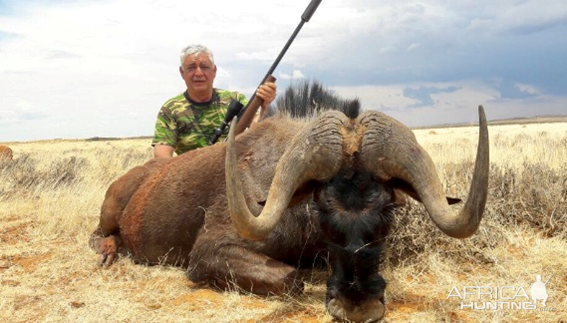 Hunt Black Wildebeest in South Africa