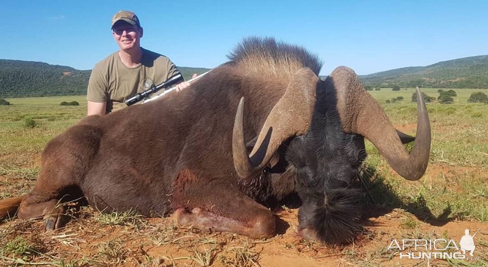 Hunt Black Wildebeest in South Africa