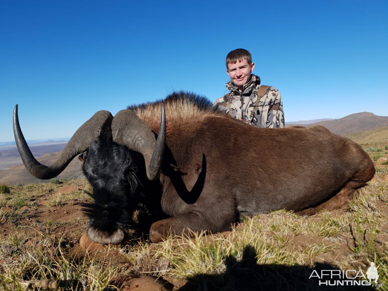 Hunt Black Wildebeest in South Africa