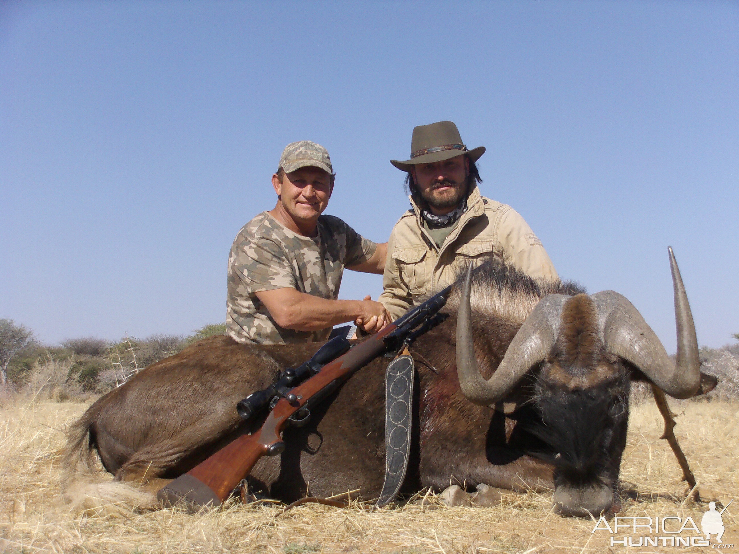 Hunt Black Wildebeest Namibia