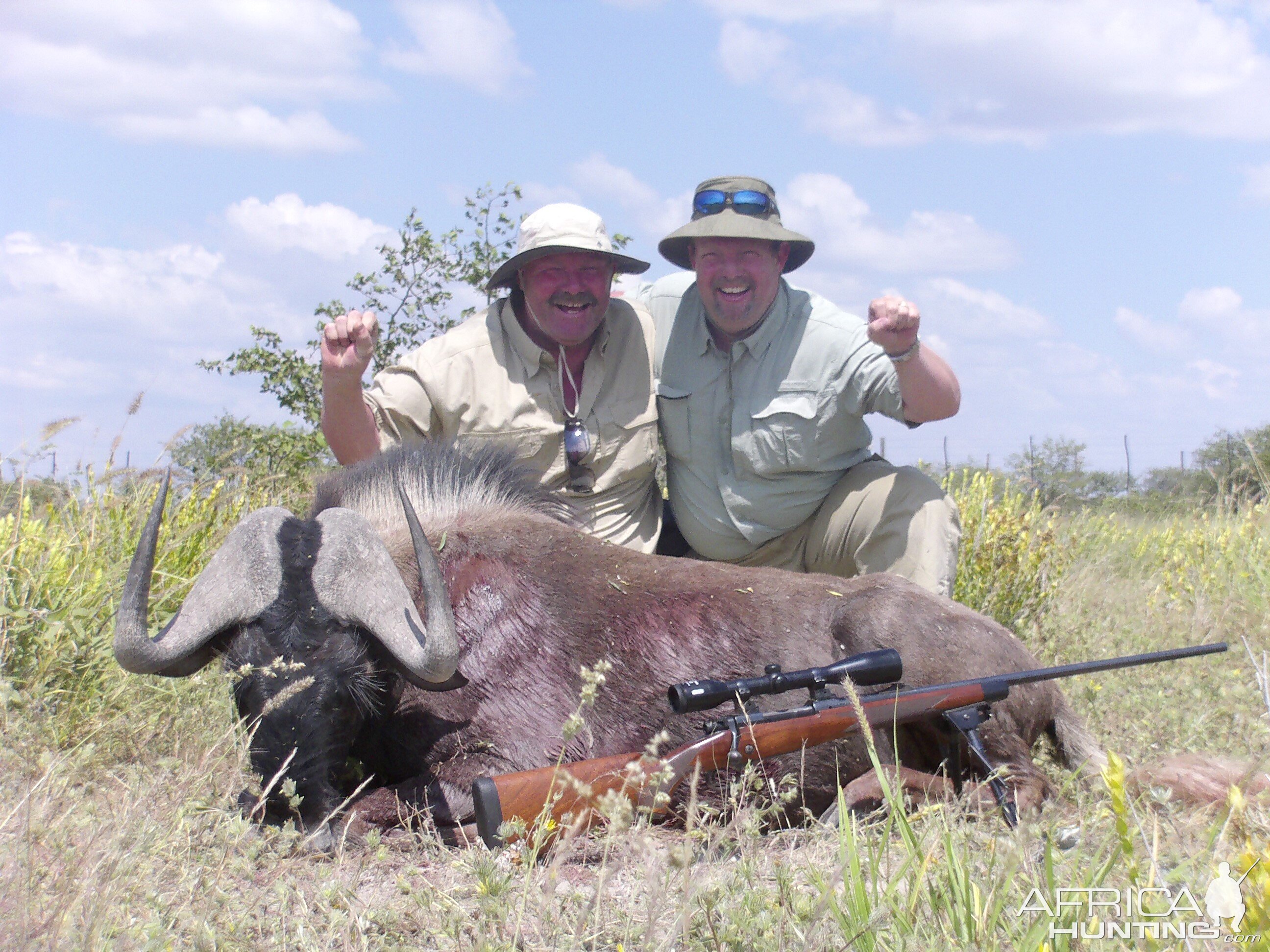 Hunt Black Wildebeest Namibia