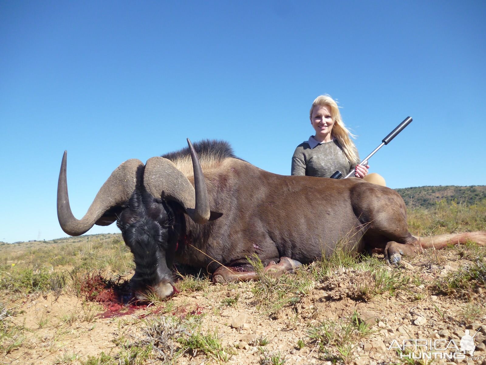 Hunt Black Wildebeest South AFrica