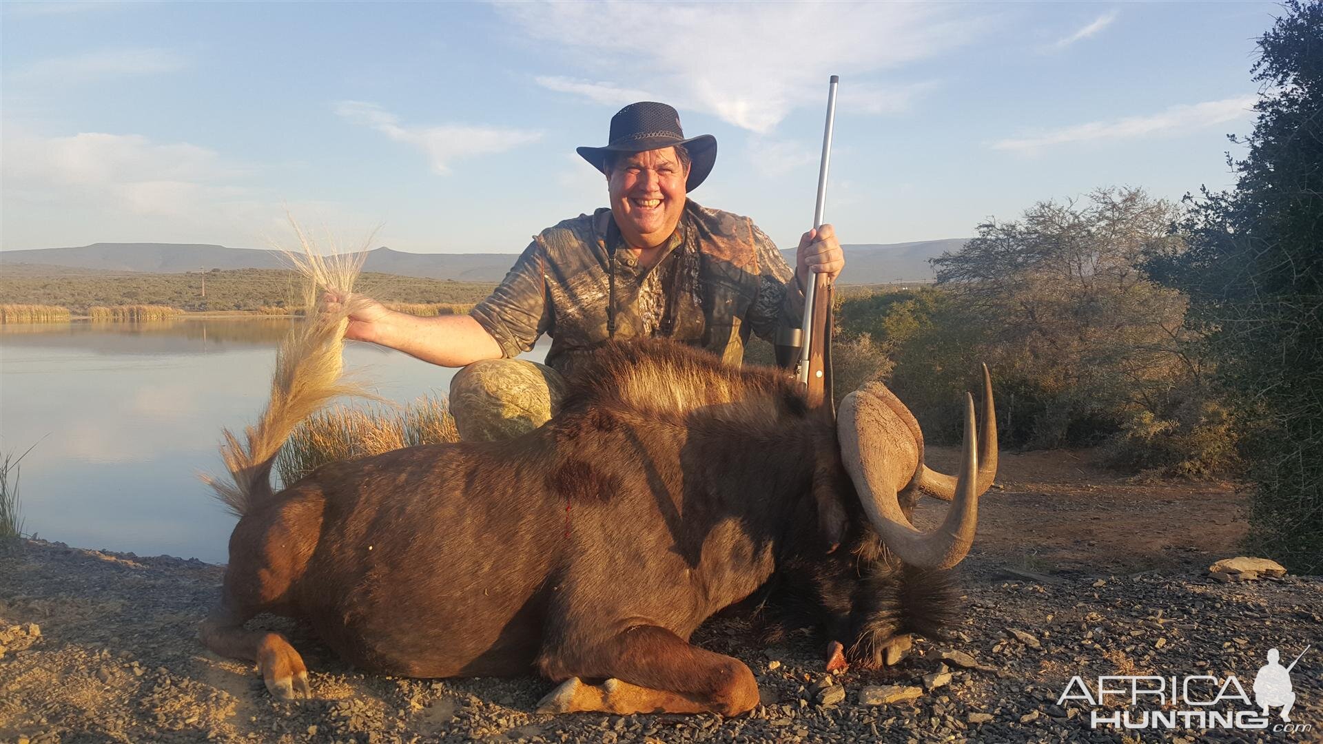 Hunt Black Wildebeest South Africa