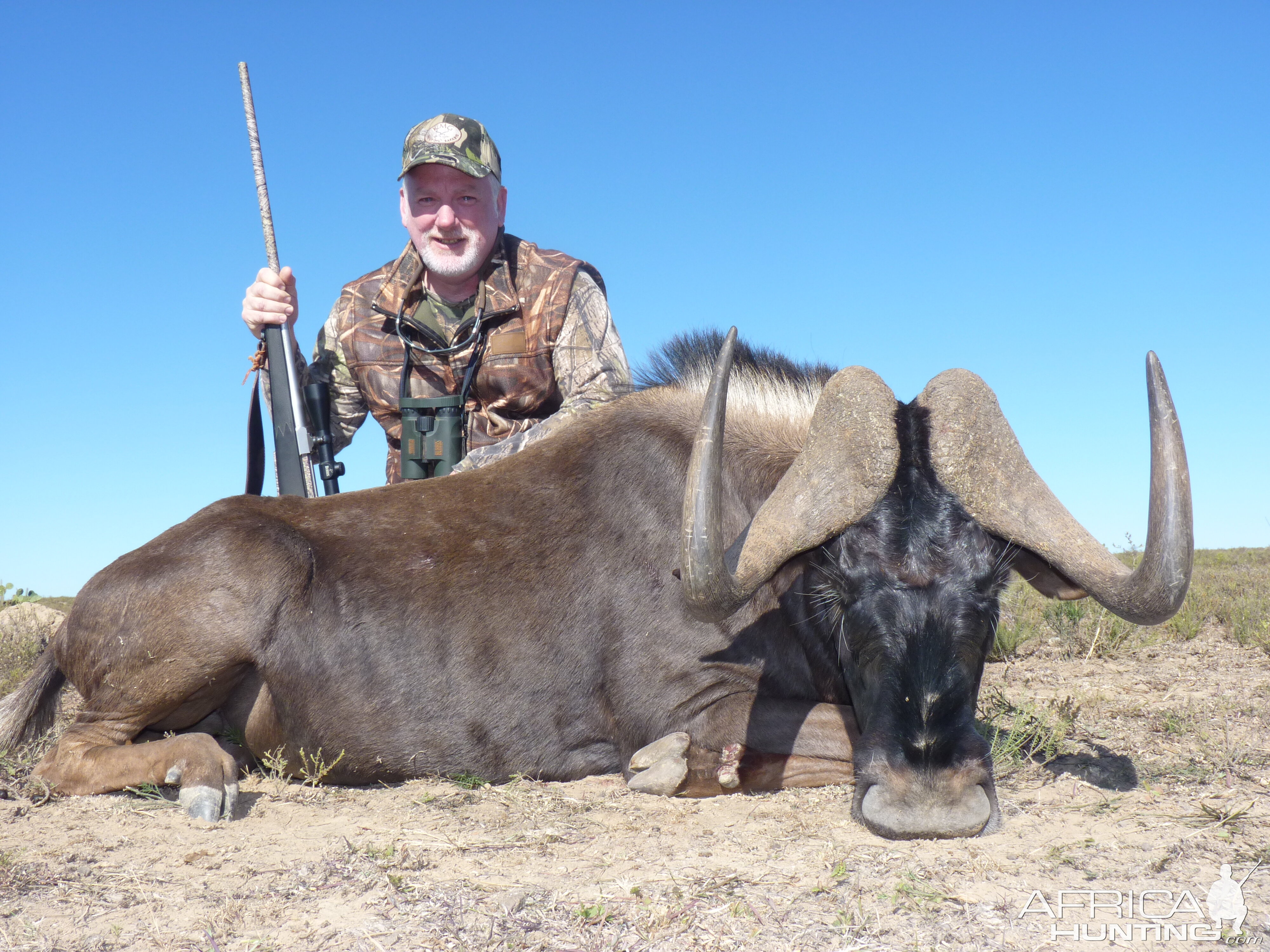 Hunt Black Wildebeest South Africa