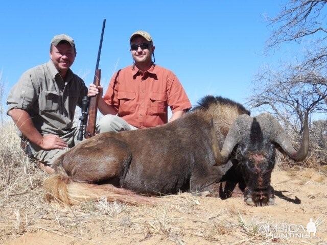 Hunt Black Wildebeest South Africa