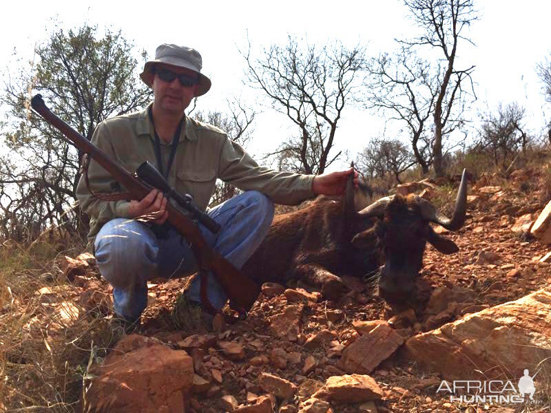 Hunt Black Wildebeest South Africa