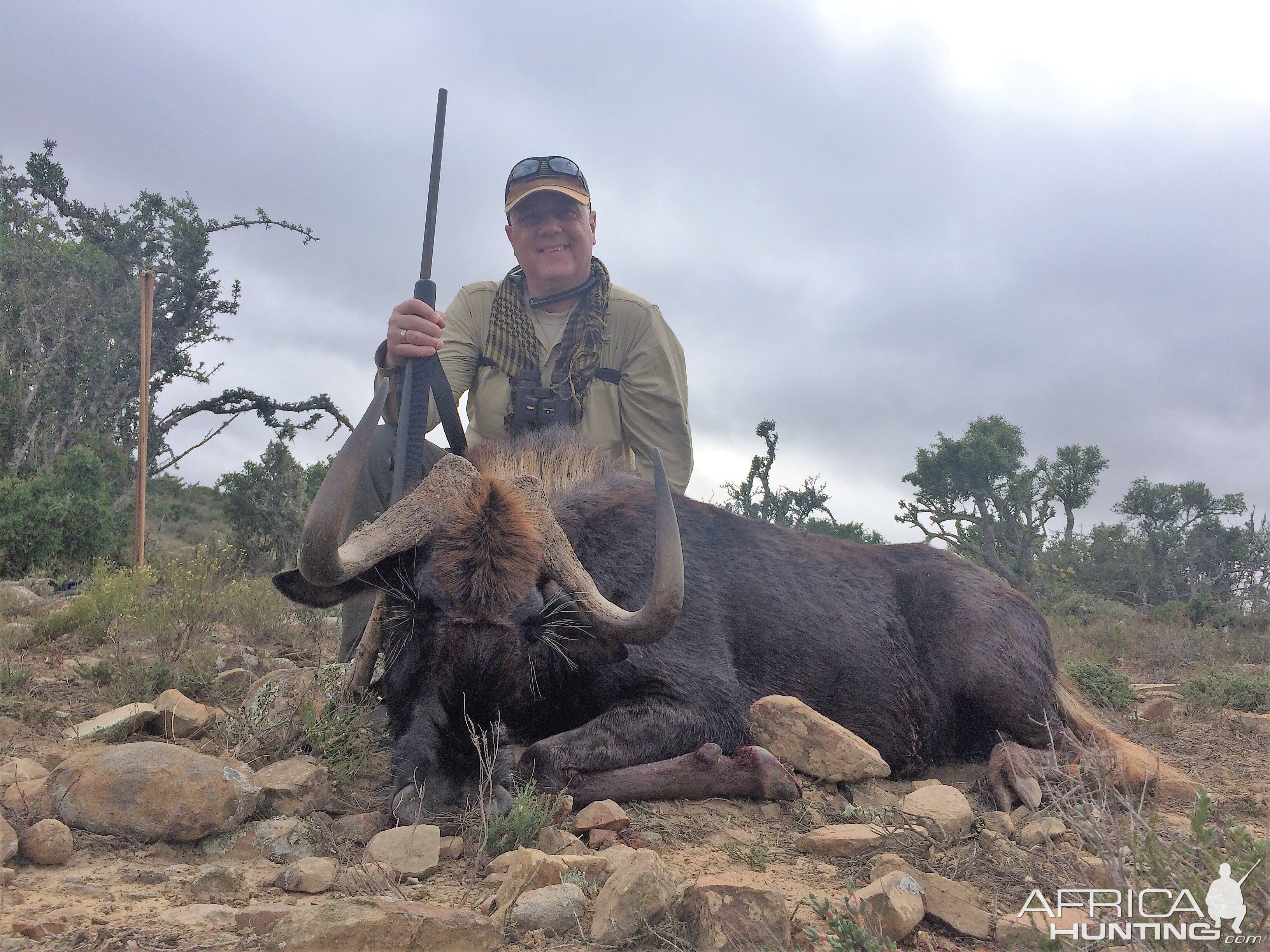 Hunt Black Wildebeest South Africa