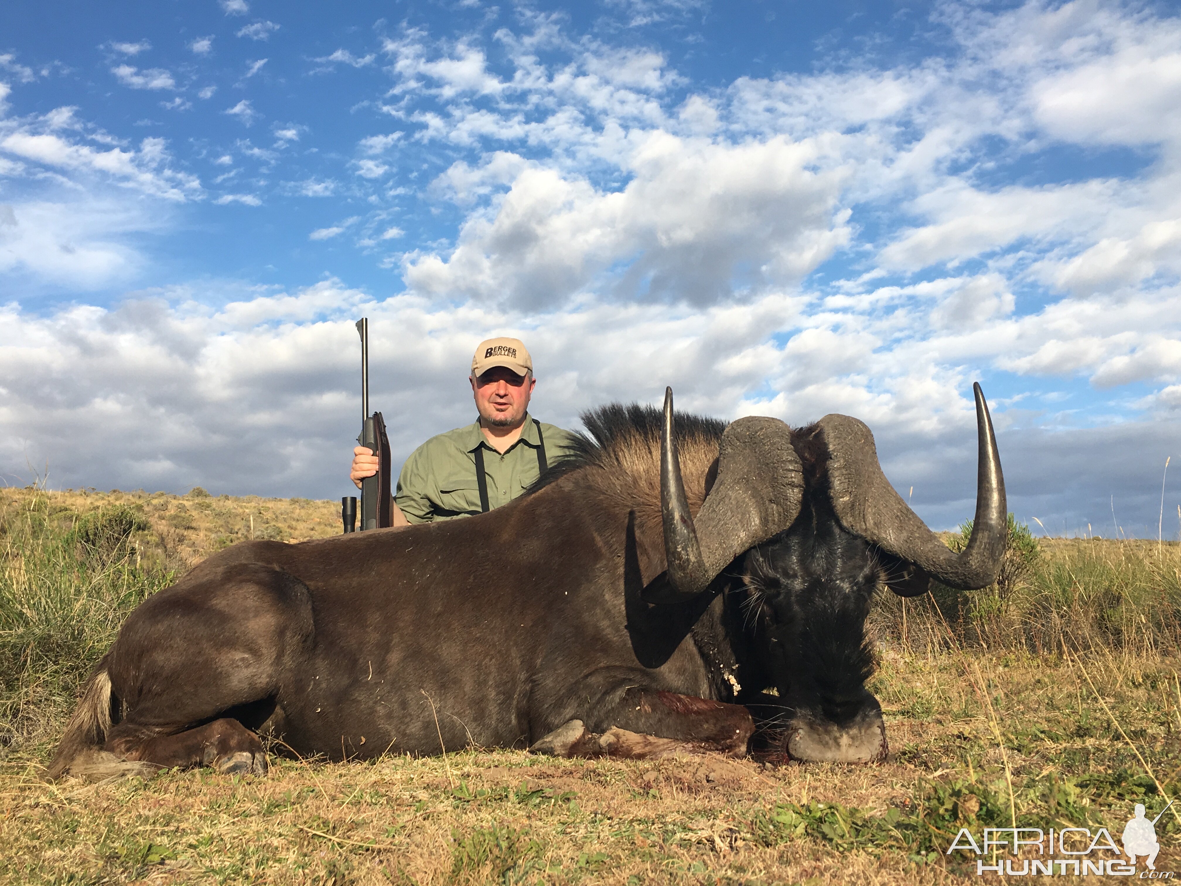 Hunt Black Wildebeest South Africa