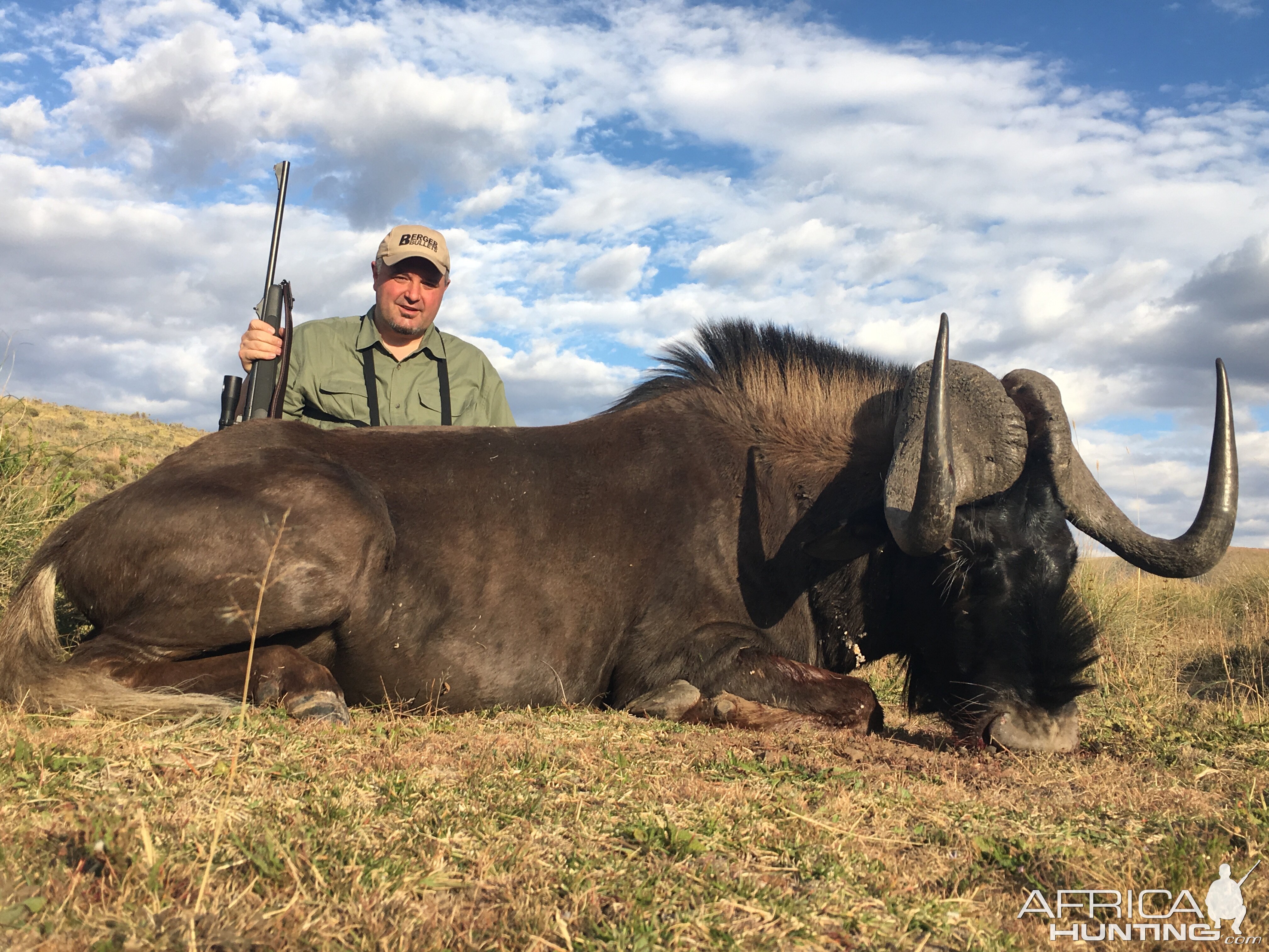 Hunt Black Wildebeest South Africa