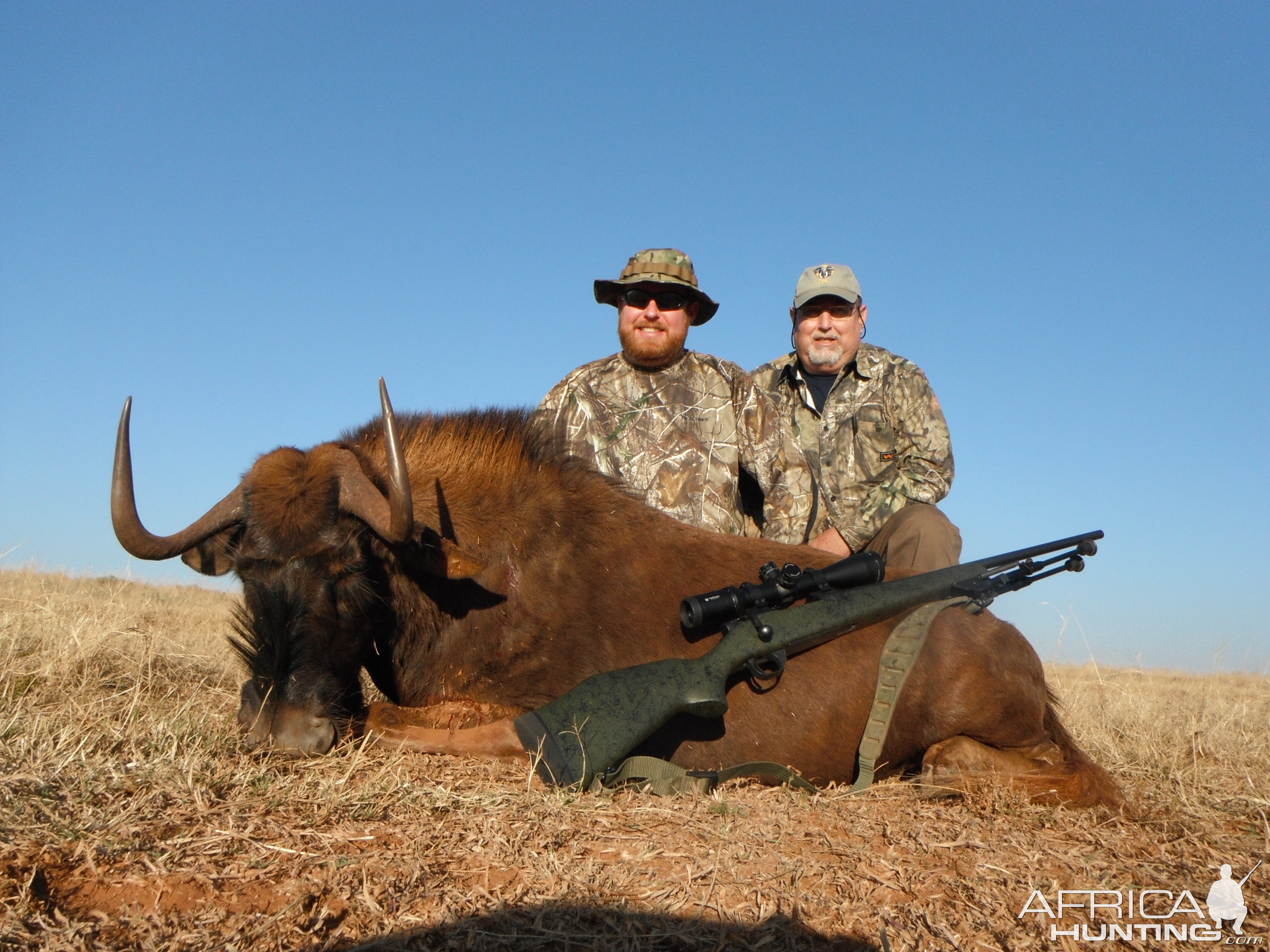 Hunt Black Wildebeest South Africa