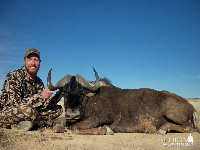 Hunt Black Wildebeest South Africa