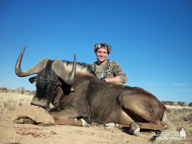 Hunt Black Wildebeest South Africa