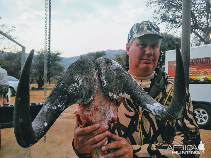 Hunt Black Wildebeest South Africa