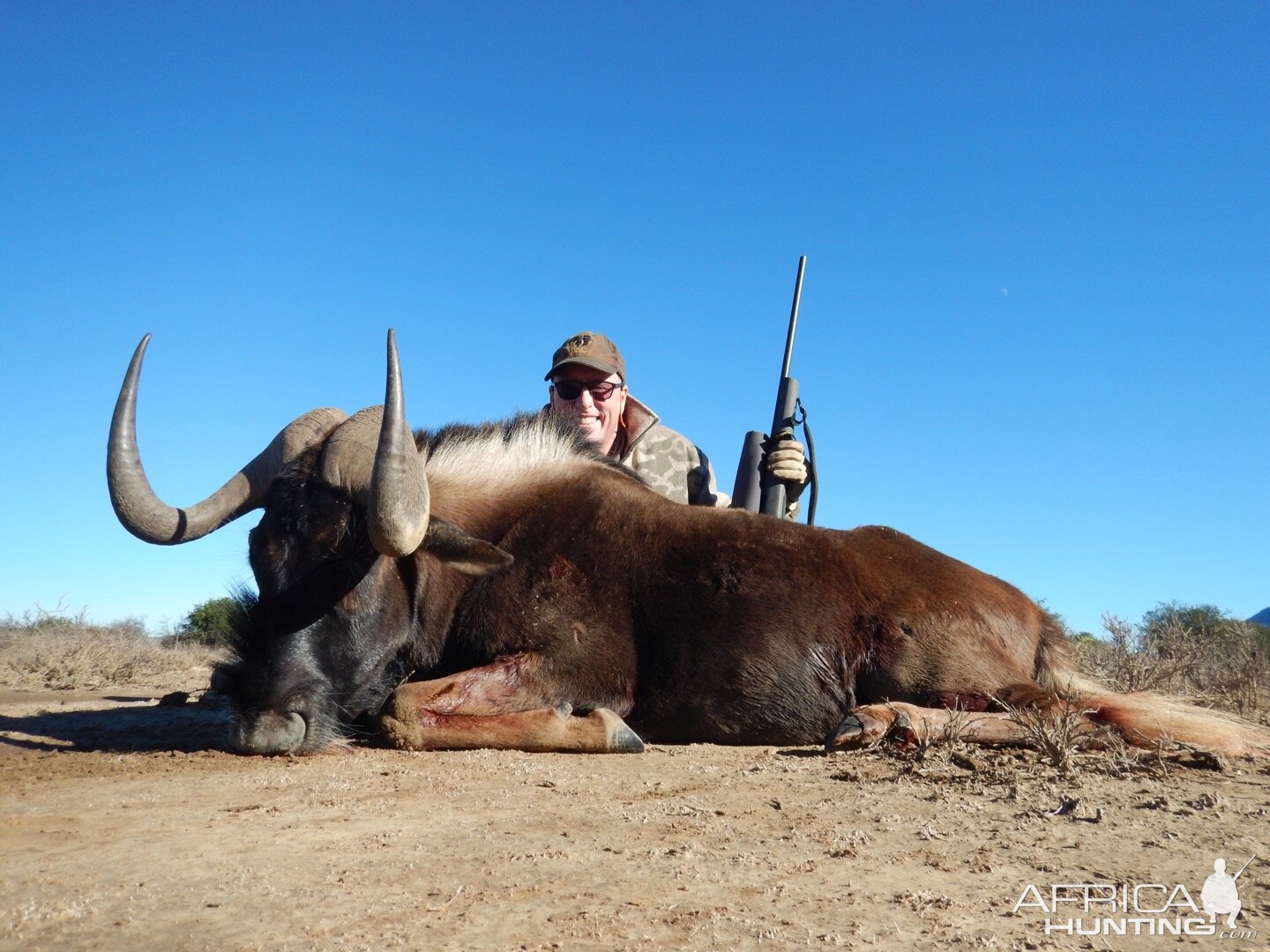 Hunt Black Wildebeest South Africa