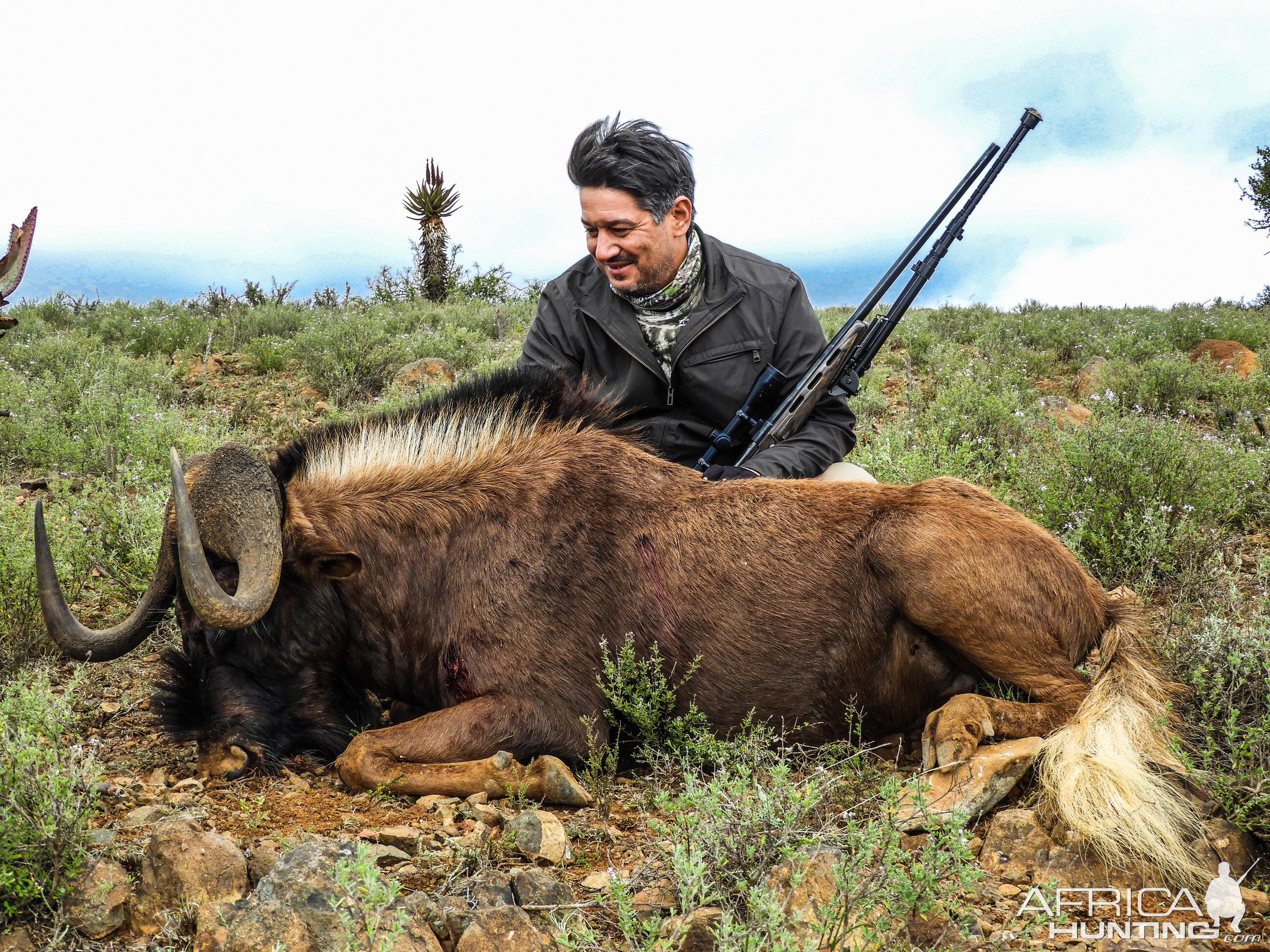 Hunt Black Wildebeest South Africa