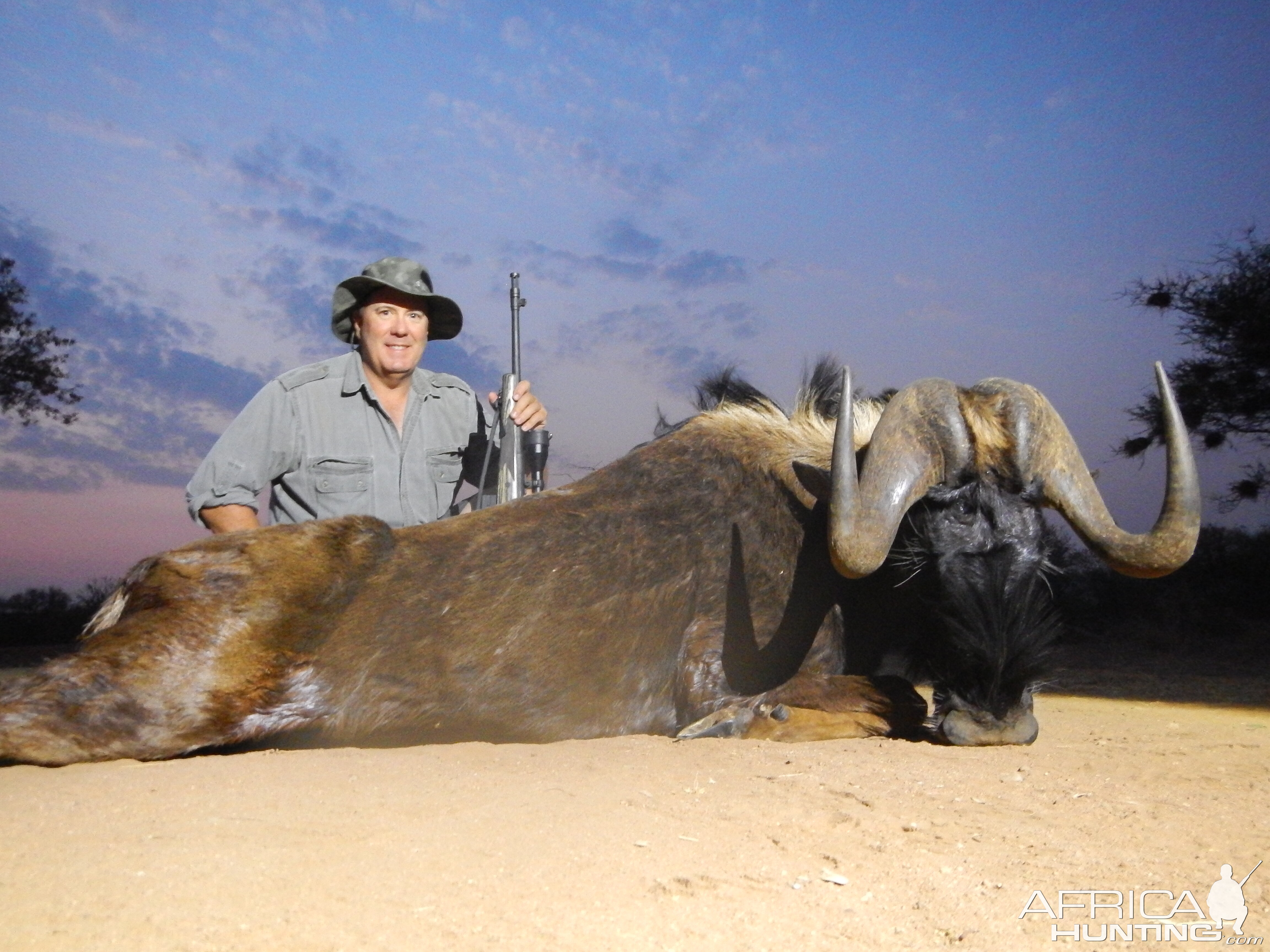 Hunt Black Wildebeest South Africa