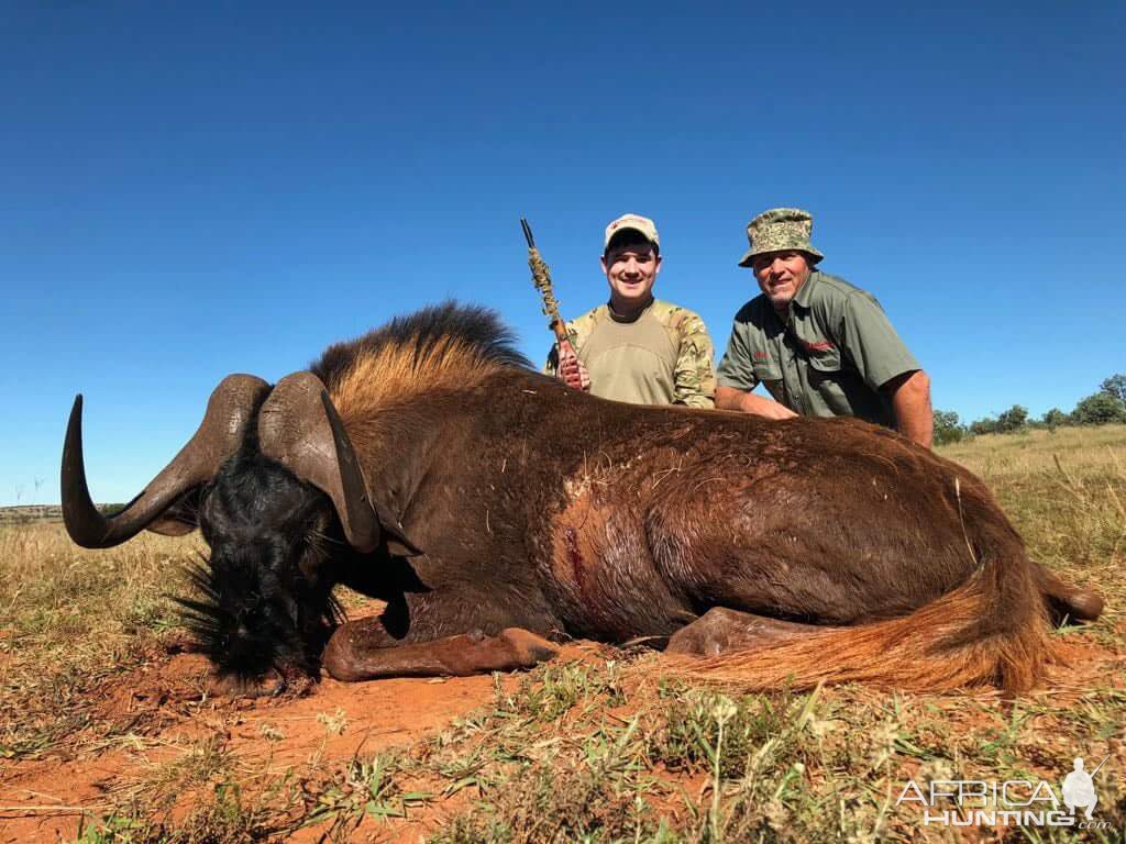 Hunt Black Wildebeest South Africa