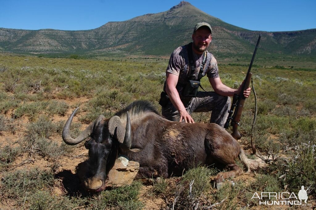 Hunt Black Wildebeest South Africa