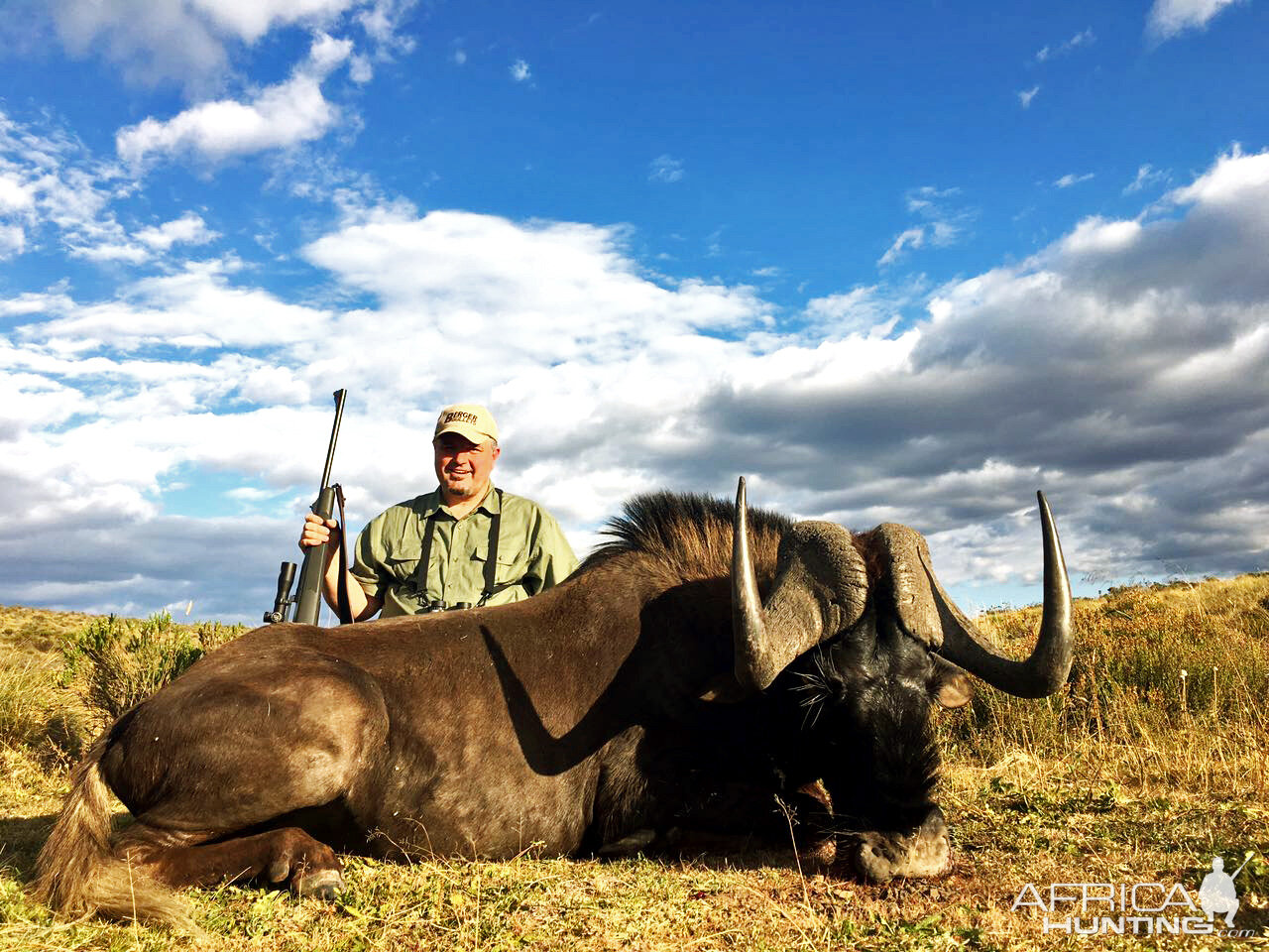 Hunt Black Wildebeest South Africa