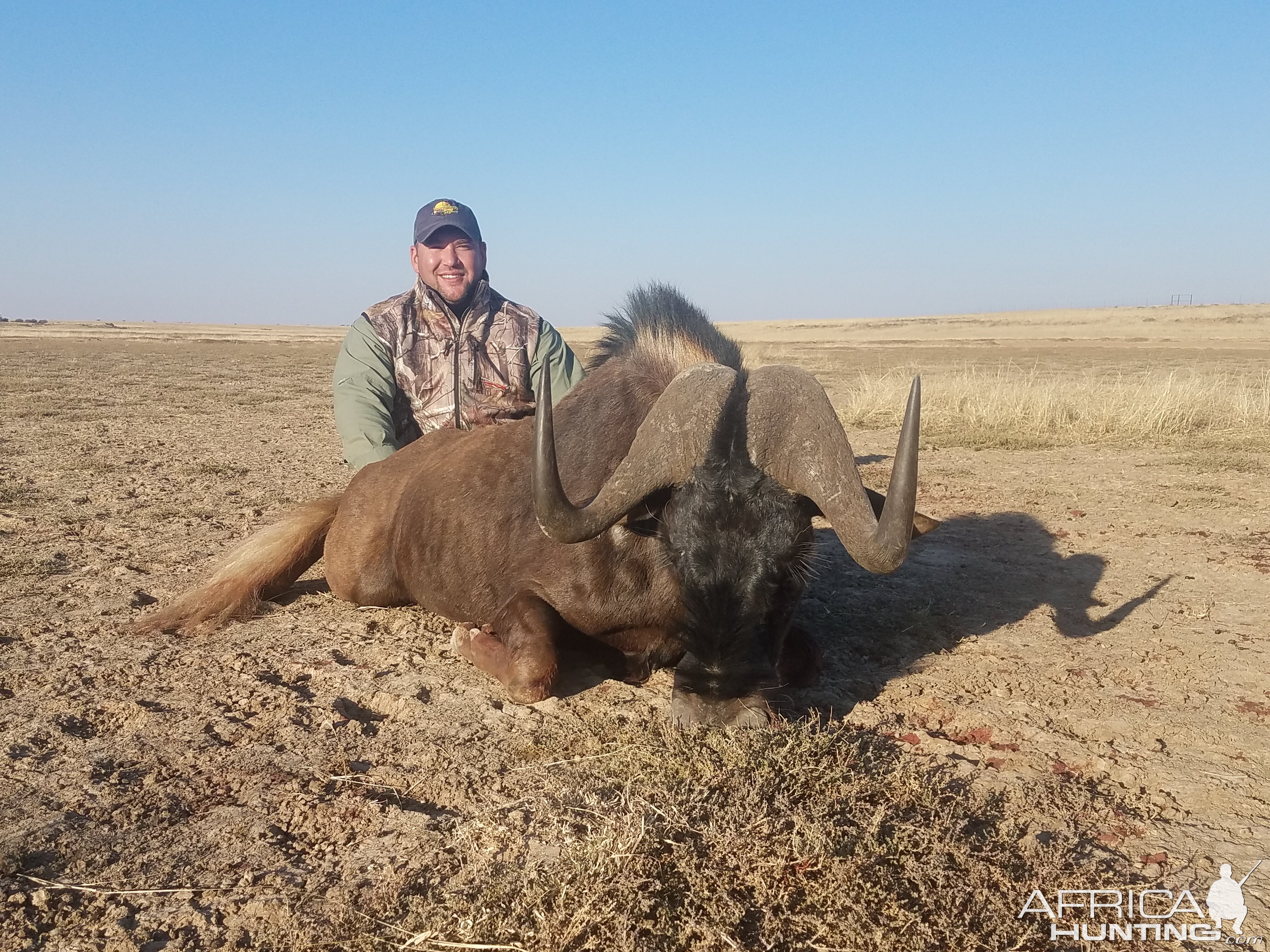 Hunt Black Wildebeest South Africa