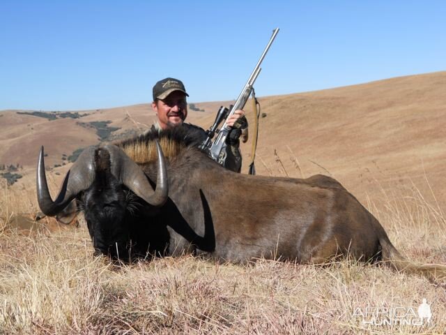 Hunt Black Wildebeest