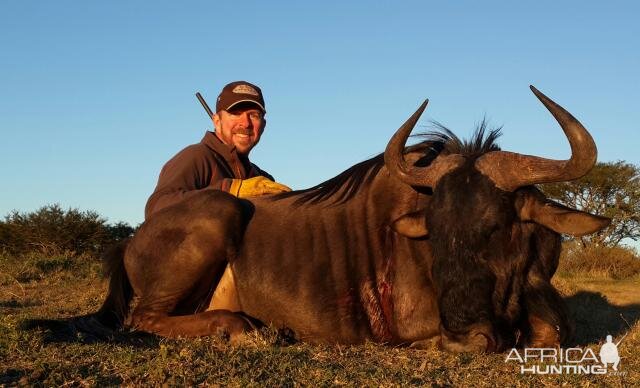 Hunt Black Wildebeest