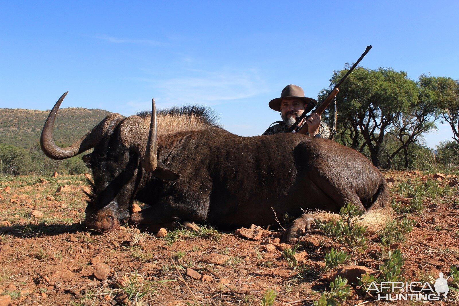 Hunt Black Wildebeest