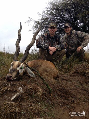 Hunt Blackbuck in Argentina